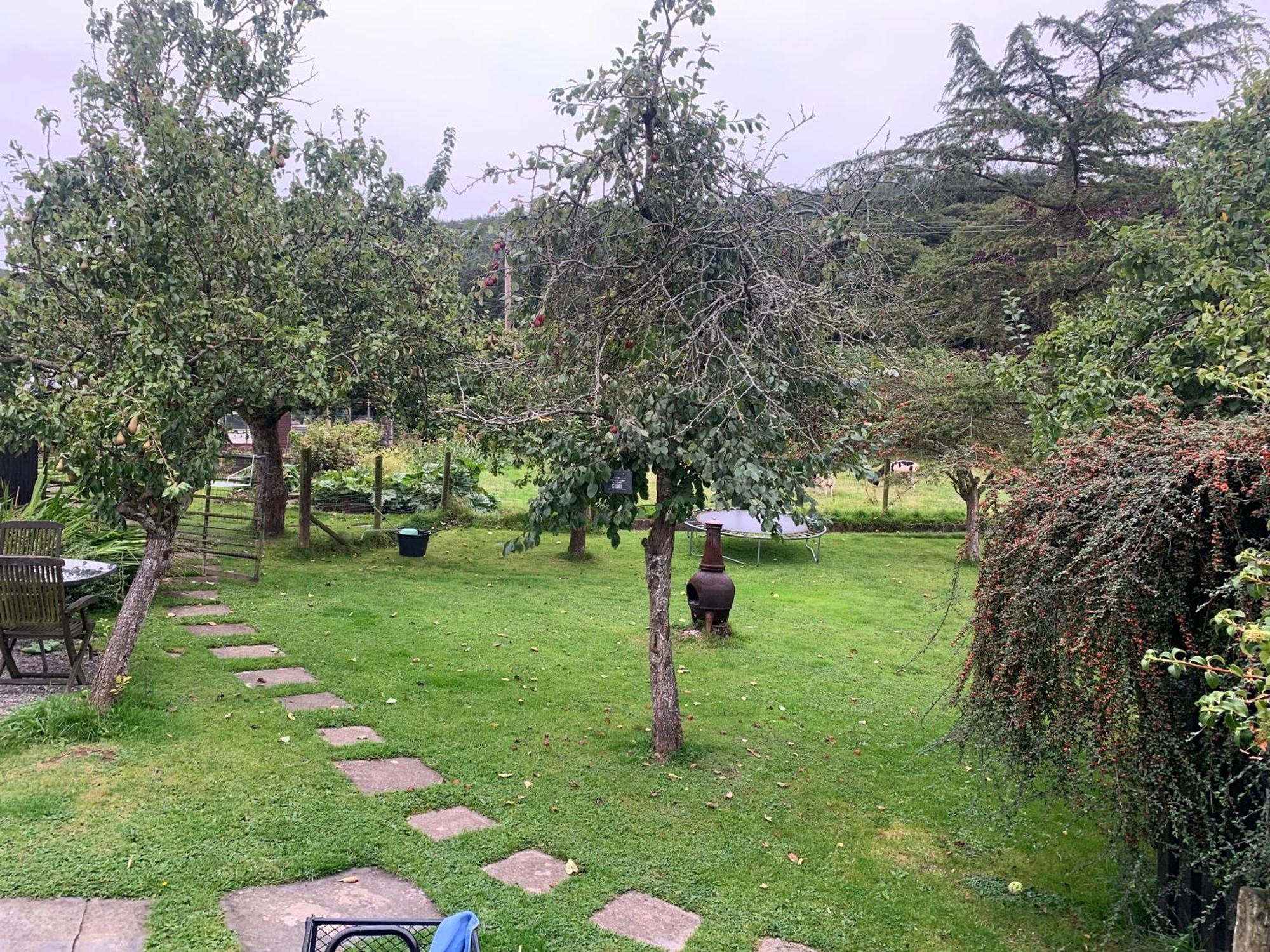 Stunning 2-Bed Cabin In Nantglyn Denbigh Ngoại thất bức ảnh
